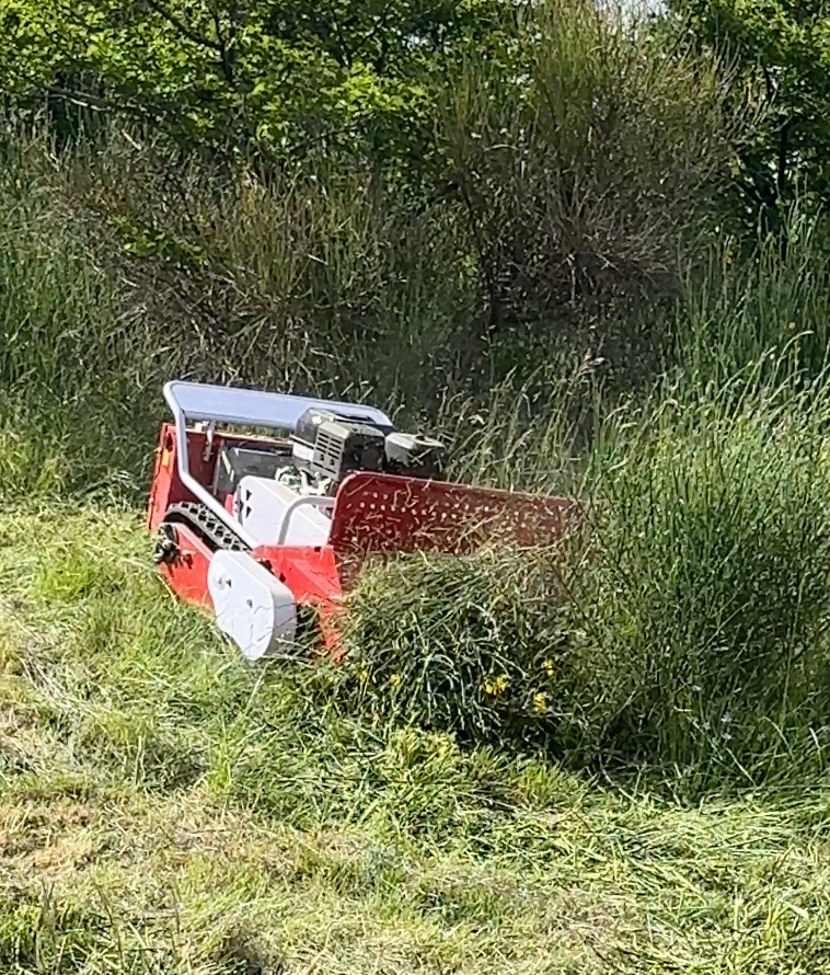 Tondeuse Débroussailleuse à Chenilles Télécommandée Hybride – ROKAVADOR